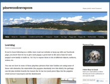 Tablet Screenshot of pinewoodcavapoos.com